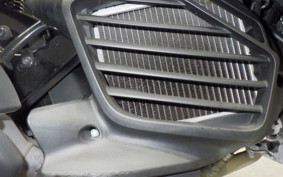 YAMAHA CYGNUS Griffus 2025 SEJ4J