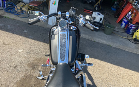 HARLEY FXCWC 2009 JK5