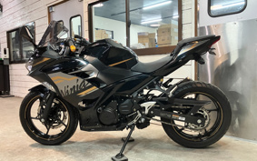 KAWASAKI NINJA 250 EX250P