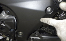 KAWASAKI NINJA 1000SX 2022 ZXT02K