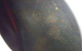 HONDA CB900F 1979 SC01