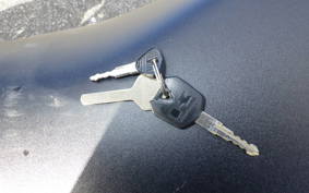 KAWASAKI NINJA 250 EX250L