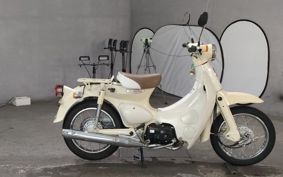 HONDA LITTLE CUB AA01