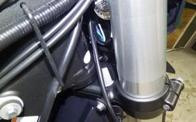 KAWASAKI KLX250 Gen.2 2018 LX250S