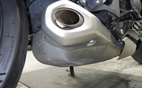 TRIUMPH DAYTONA660 2024