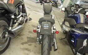 HARLEY XL883LI
