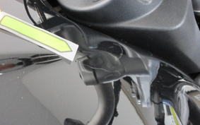 BMW R NINE T URBAN GS 2021 0L91