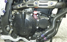 KAWASAKI KLX250D TRACKER X 2014 LX250V