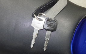 HONDA HORNET 250 MC31