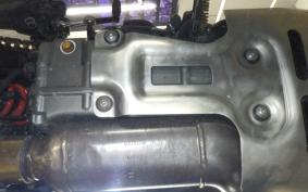 OTHER +HD. ﾊﾟﾝ AMERICA1250S 2022