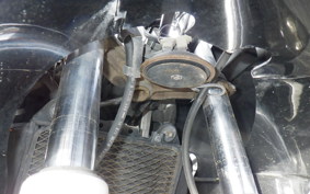 KAWASAKI ZZ-R250 2013 EX250H