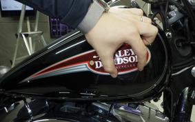 HARLEY FXDL 1580 2006