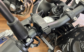 HARLEY X500 2024 W5B