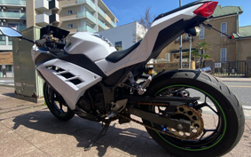 KAWASAKI NINJA 250 EX250L