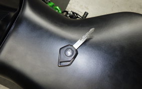 KAWASAKI NINJA H2 CARBON 2021 ZXT02J