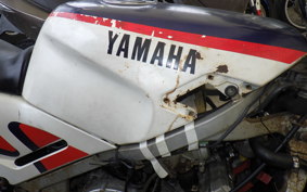 YAMAHA FZR250 2KR