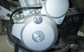 KAWASAKI KLX250 Gen.2 LX250S