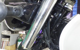 KAWASAKI W230 2019 BJ230A