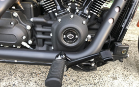 HARLEY FXBBS 2021 YYK