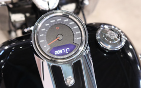 HARLEY FLFBS 2023 YGK