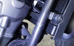 HONDA REBEL 250 A 2007 MC49