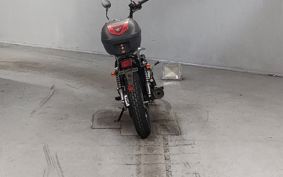 SUZUKI GLASS TRACKER BIG BOY NJ4BA