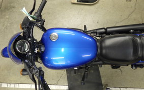 HARLEY XG750 STREET ROD 2020