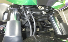 KAWASAKI Z250 Gen.2 2003 EX250Y