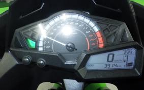 KAWASAKI NINJA 250 EX250L