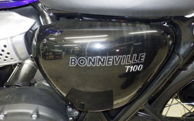 TRIUMPH BONNEVILLE T100 2024