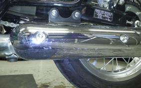 KAWASAKI W800 2021 EJ800B