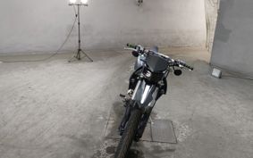 KAWASAKI D-TRACKERX LX250V