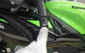 KAWASAKI ZX-25R 2010 ZX250E