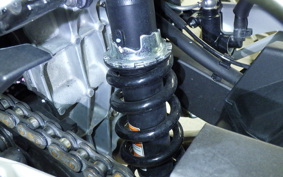 KAWASAKI NINJA 250 2023 EX250Y