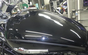 OTHER +HD. XL1200C-I 2011