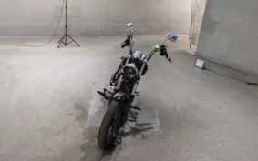 YAMAHA VIRAGO 250 3DM