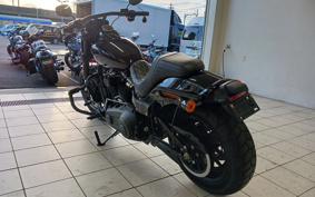 HARLEY  HARLEY FXFBS 2021 YLK