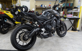 YAMAHA MT-09 ABS 2014 RN34J