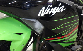 KAWASAKI ZX-4RR 2023 ZX400P