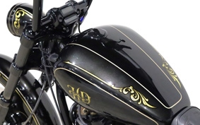 HARLEY FXBRS 2021 YHK