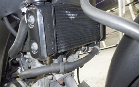 YAMAHA XSR155