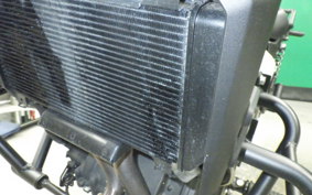 KAWASAKI ELIMINATOR400-3 2025 EL400A