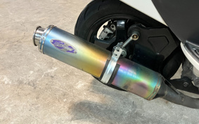SUZUKI  SKY WAVE 250TYPES CJ43A