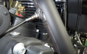 HARLEY FLTRX1920 2024