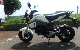 HONDA GROM JC61