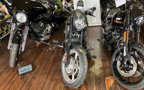 HARLEY HARLEY VRSCDX1250 2007 HHZ