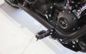 HARLEY  HARLEY FXLRS 2025 YWK