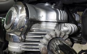 KAWASAKI W800 2020 EJ800B