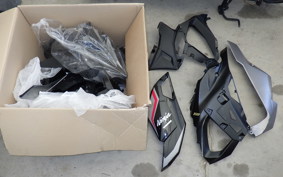 KAWASAKI NINJA 1000 SX 2018 ZXT02K