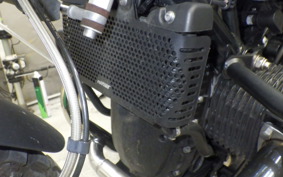BMW R NINE T URBAN GS 2021